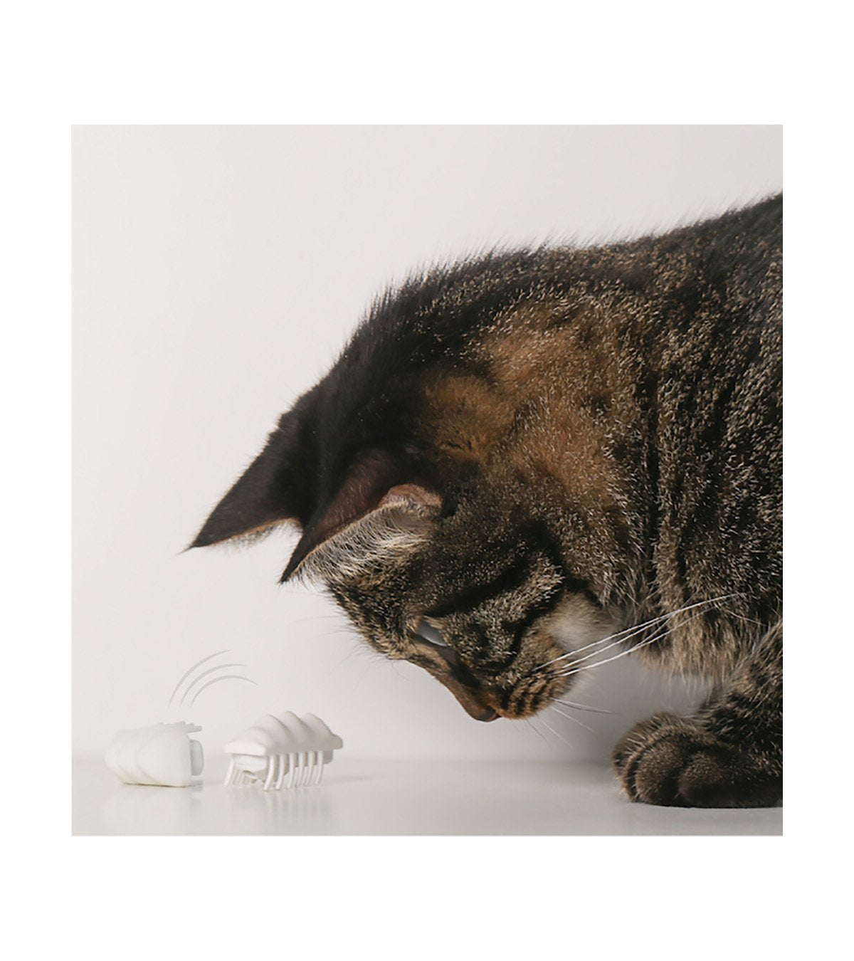 Pidan | "Little Snow Monster" Electronic Cat Teasing Toy | ARMOR THE POOCH